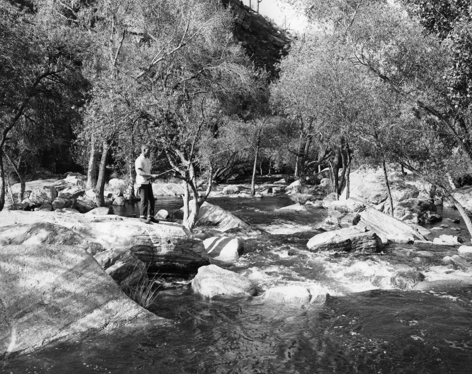 Sabino Canyon Recreation Area, Tucson